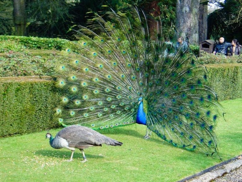 Viralimalai Bird Sanctuary, Tiruchirappalli, Tamil Nadu - Vushii.com Viralimalai Bird Sanctuary, Tiruchirappalli, Tamil Nadu - Vushii.com